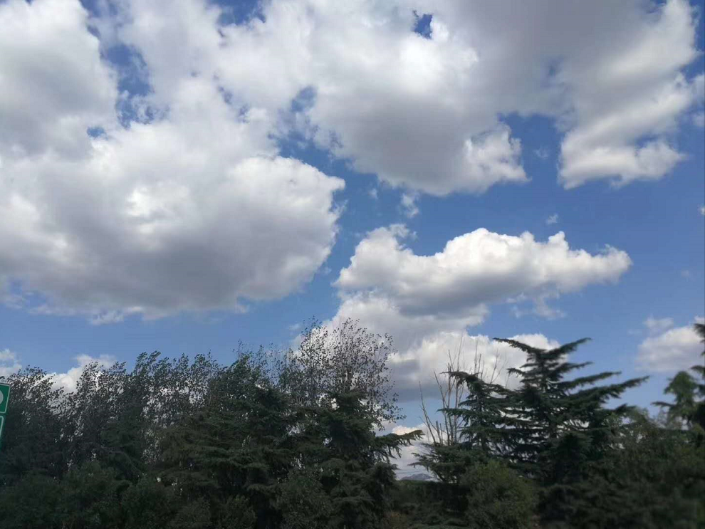 �ƶ�����app��̬ũ�������´���