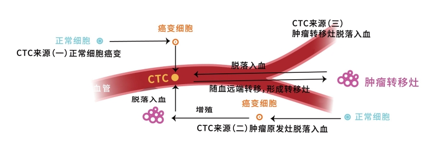 CTC先容 CTC先容.jpg