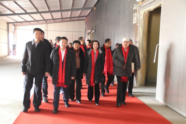 ae64cee897f14cff8154dc9b1f822369~noop