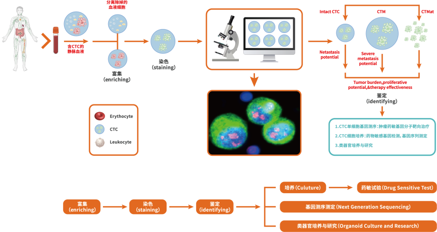 CTC手艺 CTC手艺.png