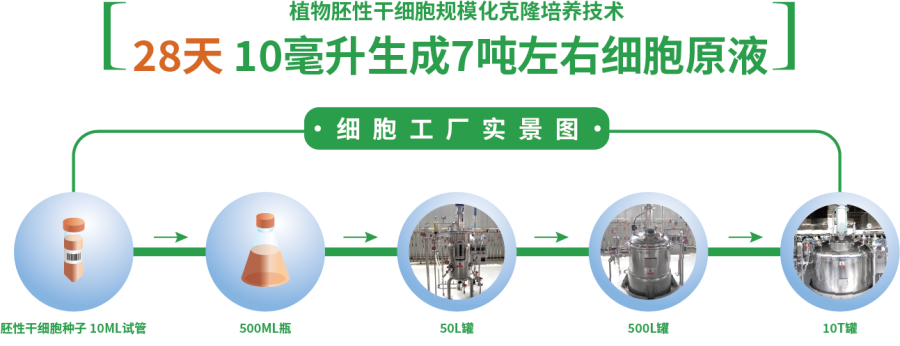 10ºÁÉý7¶Ö 10ºÁÉý7¶Ö.png