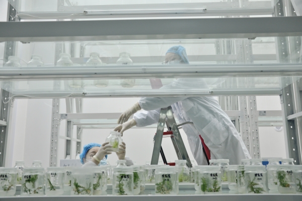 _DSC0042_¸±±¾ _DSC0042_¸±±¾.jpg