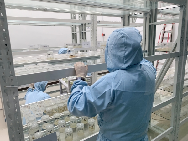 ΢ÐÅͼƬ_20250213101127_¸±±¾ ΢ÐÅͼƬ_20250213101127_¸±±¾.jpg