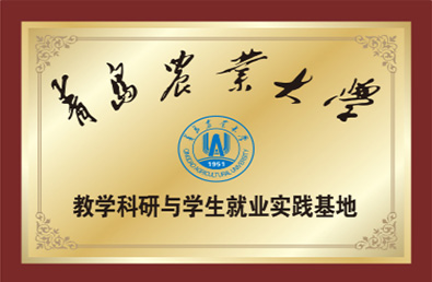 �ƶ����š�(�й�)�ֻ���app����