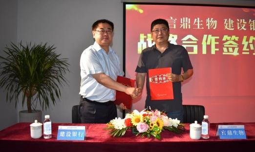 ����ͷ�� ����ɽ�����������������ʢ������ǿǿ�Ž������»��