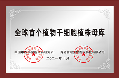 �ƶ����š�(�й�)�ֻ���app����