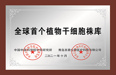 �ƶ����š�(�й�)�ֻ���app����