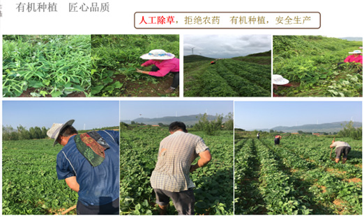 ��ɽ���ƶ�����app��Ȫũҵ�Ƽ����޹�˾���������ٻ�ɽ��ʡ�����ִ�ũҵ�Ƽ���ģ����