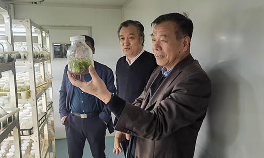 ������ϯ��ѧ��Ф�������һ�е�֣�ݴ�ѧ������ѧѧԺ�����Ϲ�ҵ��ѧ����ʵѵ���ĺ�֣��ʦ��ѧԺ���﹤���о����ľ���ѧ������