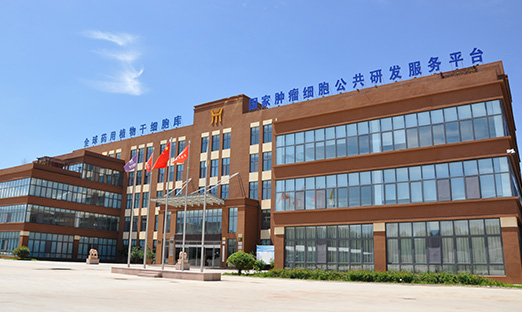 �ƶ�����app��Ѷ|��ʽ����������ҩʳͬԴչ������Ǳ��