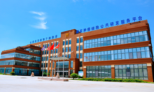 ���а��ڼ�����ҽҩ��ҵ����� ����Ч�������ͷ�