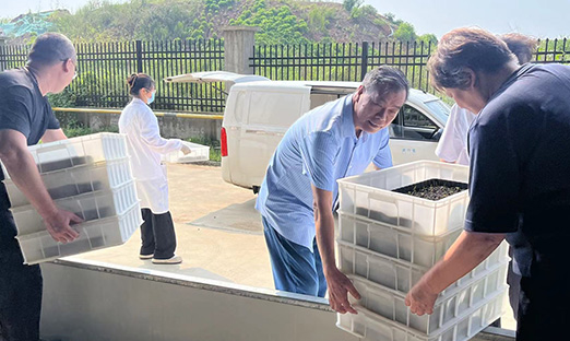 ���˹�����ҵ���ƶ�����app����������ʽת�����